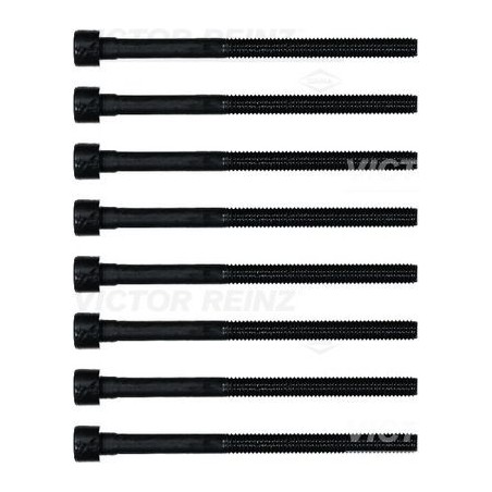 Cylinder Head Bolt Set VICTOR REINZ 14-32366-01