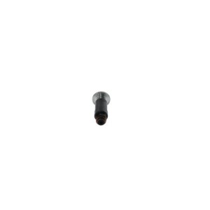 Hand Feed Pump BOSCH 2447010020