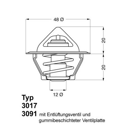 Θερμοστάτης, ψυκτικό υγρό BorgWarner (Wahler) 3017.92D2