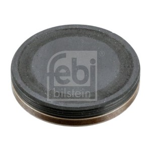 Locking Cover, camshaft FEBI BILSTEIN 38867
