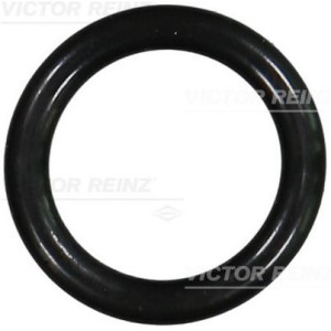 Τσιμούχα, πολλαπλή εισαγωγής VICTOR REINZ 40-76240-00