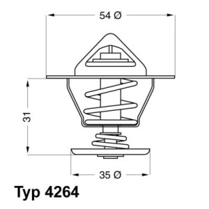 Thermostat, coolant BorgWarner (Wahler) 4264.87D