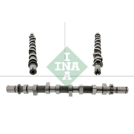 Camshaft INA 428019810