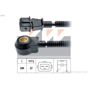 Knock Sensor KW 457213