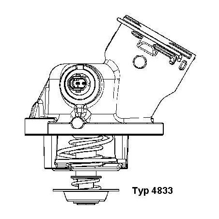 Θερμοστάτης, ψυκτικό υγρό BorgWarner (Wahler) 4833.100D