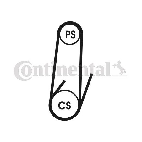 Ιμάντας poly-V CONTINENTAL CTAM 4PK1022ELAST