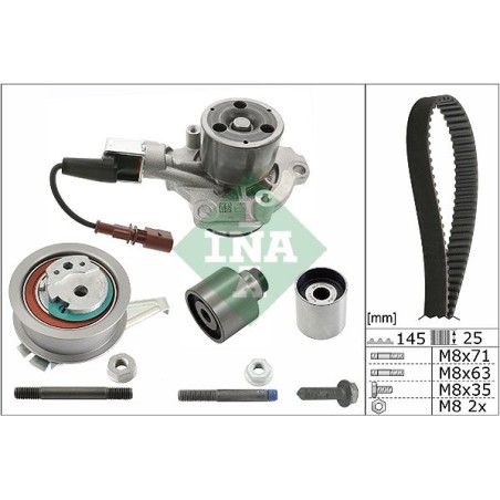 Water Pump & Timing Belt Kit INA 530065030