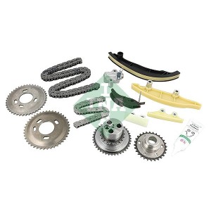 Timing Chain Kit INA 559100050