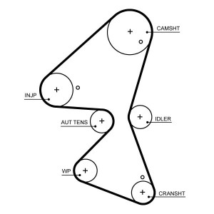 Timing Belt GATES 5705XS