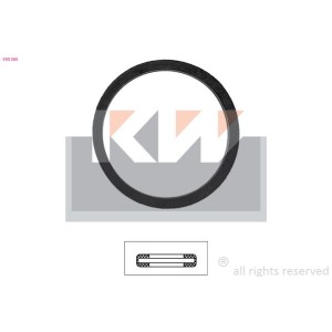 Φλάντζα, θερμοστάτης KW 590565