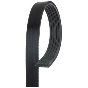 Ιμάντας poly-V GATES 5PK1123XS