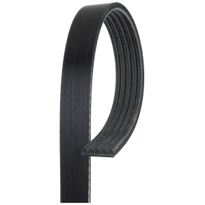 V-Ribbed Belt GATES 5PK1123XS