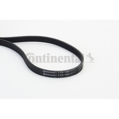 V-Ribbed Belt CONTINENTAL CTAM 5PK1960