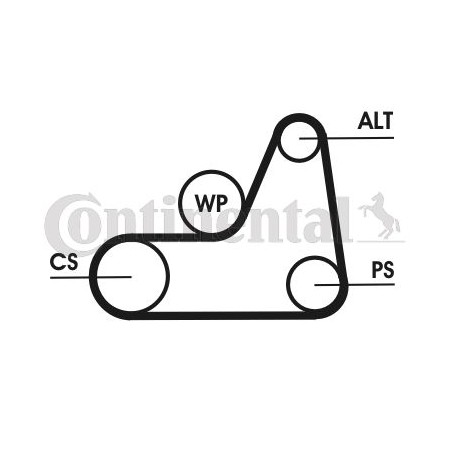 V-Ribbed Belt CONTINENTAL CTAM 6PK1042ELAST