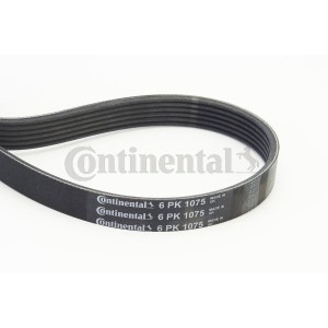 V-Ribbed Belt CONTINENTAL CTAM 6PK1075