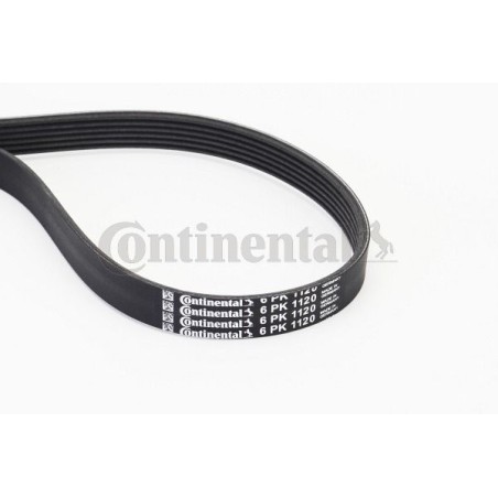 V-Ribbed Belt CONTINENTAL CTAM 6PK1120