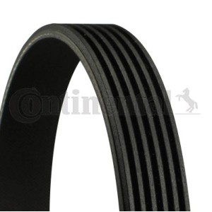 V-Ribbed Belt CONTINENTAL CTAM 6PK1330