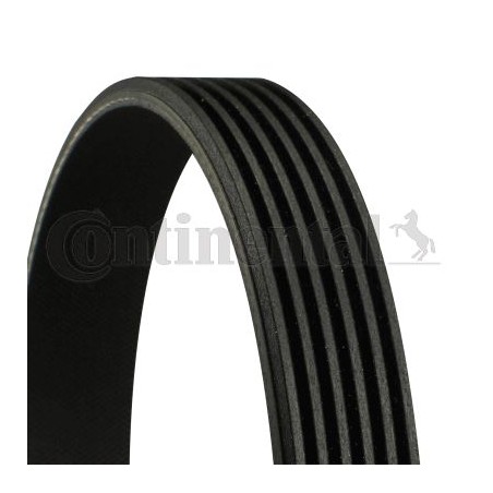 V-Ribbed Belt CONTINENTAL CTAM 6PK1510