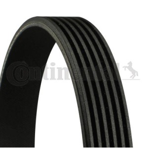 V-Ribbed Belt CONTINENTAL CTAM 6PK894