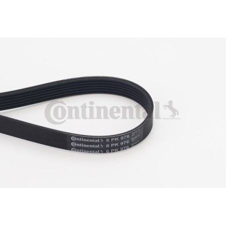 V-Ribbed Belt CONTINENTAL CTAM 6PK976