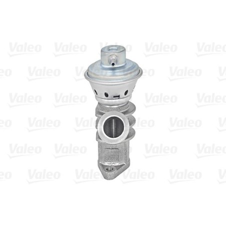 EGR Valve VALEO 700405