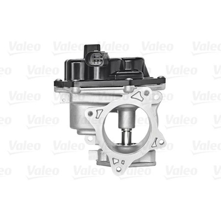 EGR Valve VALEO 700448