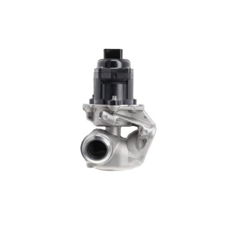 EGR Valve VALEO 700474