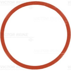 Τσιμούχα, πολλαπλή εισαγωγής VICTOR REINZ 71-77546-00
