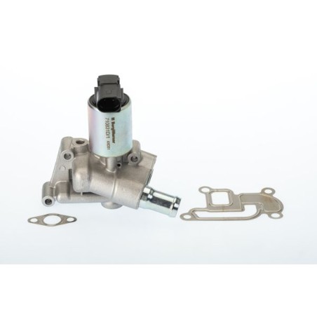 Βαλβίδα AGR BorgWarner (Wahler) 710831D/1