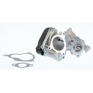 EGR Valve BorgWarner (Wahler) 710931D