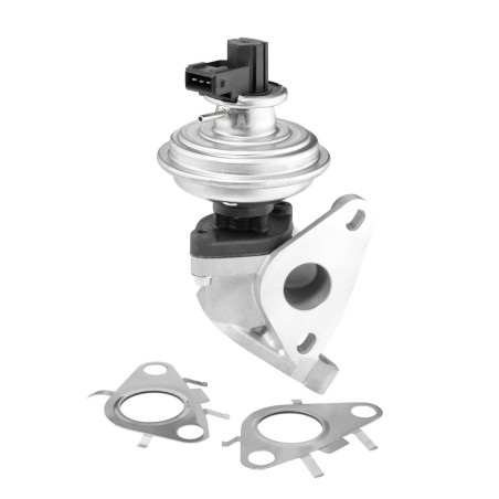 Βαλβίδα AGR BorgWarner (Wahler) 712092D