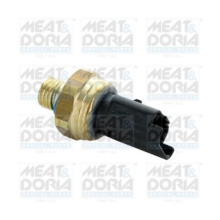 Oil Pressure Switch MEAT & DORIA 72125