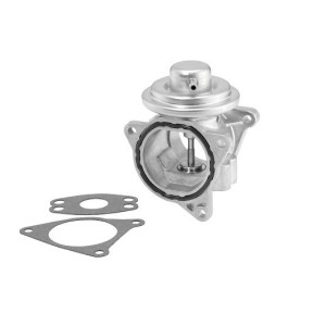 EGR Valve BorgWarner (Wahler) 7496D