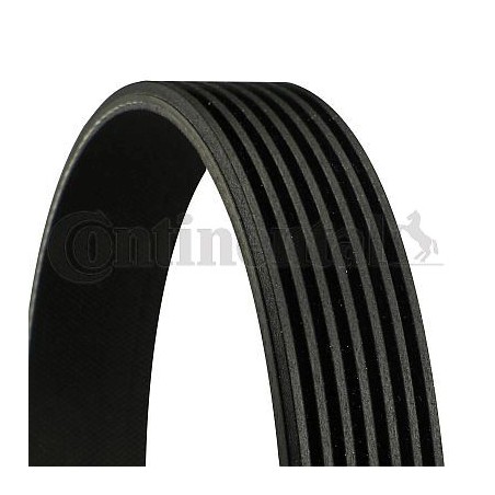 V-Ribbed Belt CONTINENTAL CTAM 7PK1145