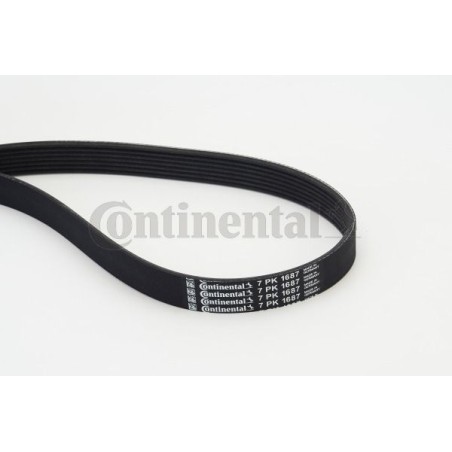 V-Ribbed Belt CONTINENTAL CTAM 7PK1687